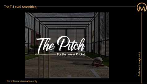 The Cricket Pitch