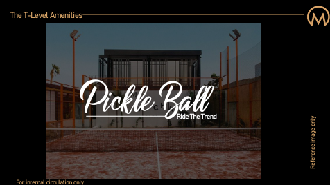 Pickle Ball