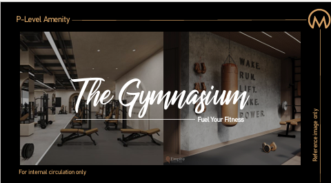 The Gymnasium